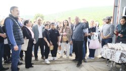 Dogafest etkinliinden bir fotoraf