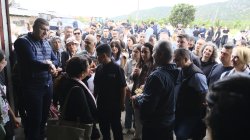 Dogafest
