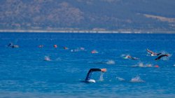 Triathlon etkinliinden bir fotoraf